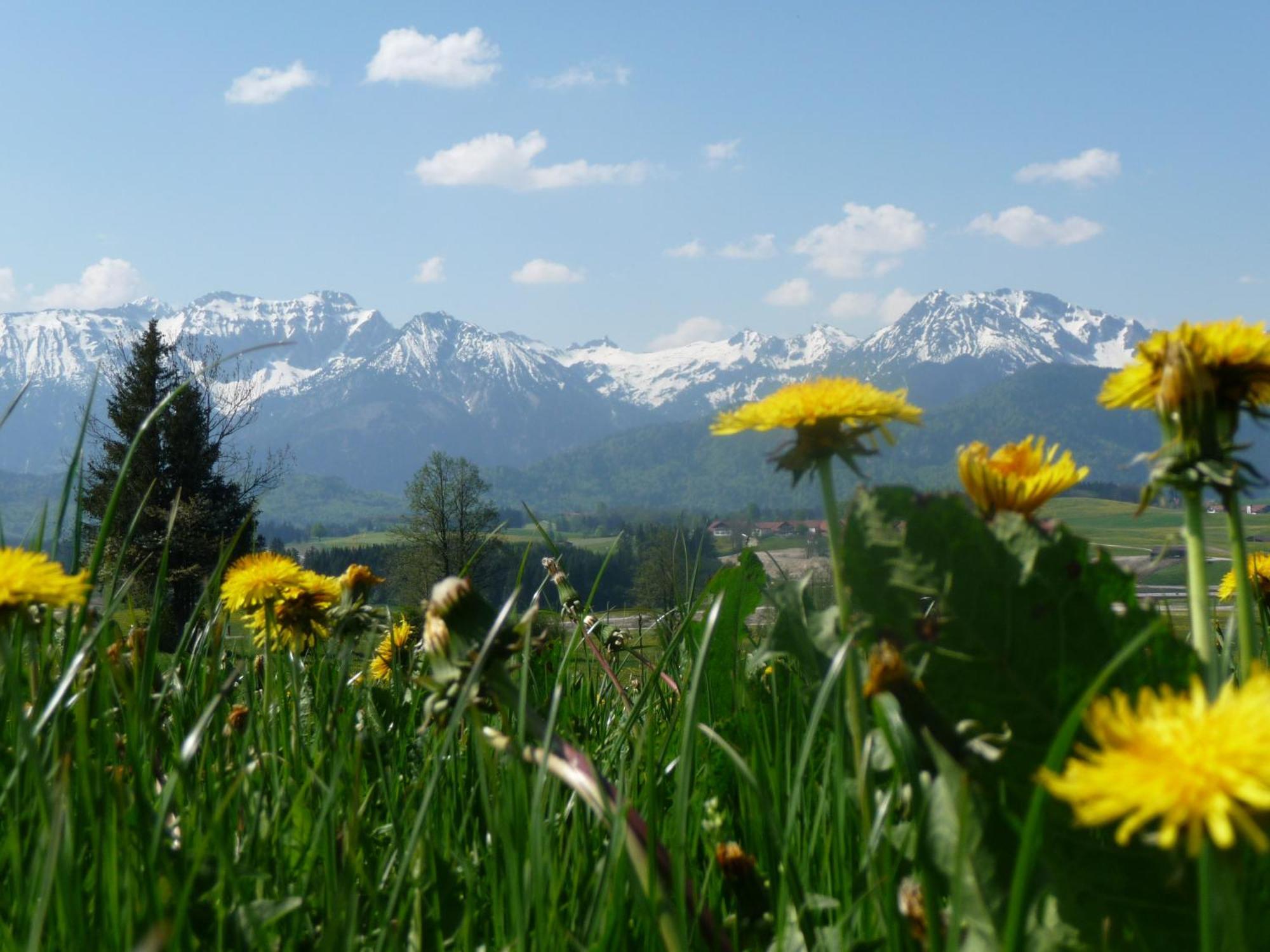 Mayr - Bergblick * Füssen